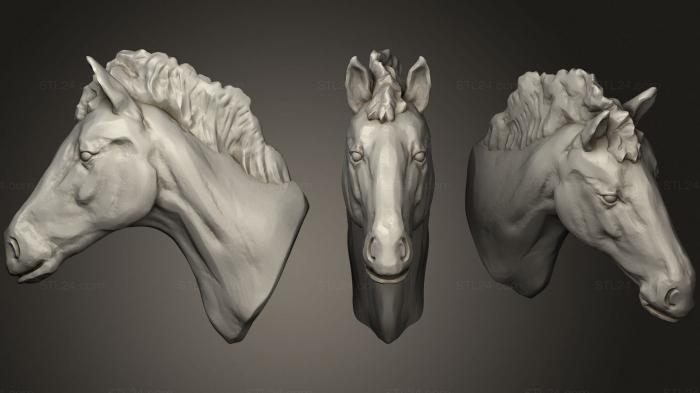 Маски и морды животных (Лошадь 2, MSKJ_0307) 3D модель для ЧПУ станка